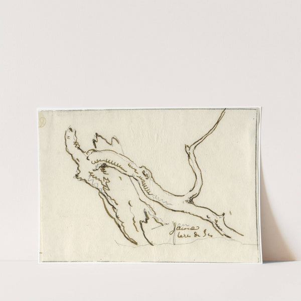 Knoestige stam met afgeknapte tak by David Humbert de Superville