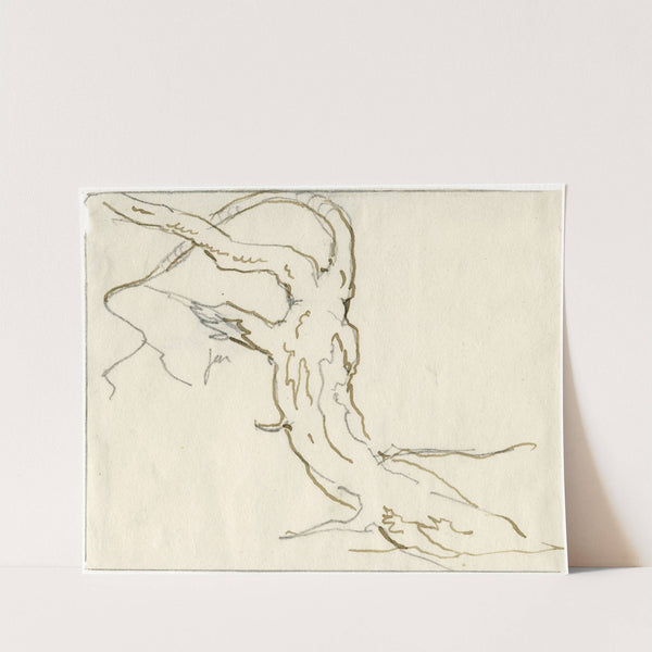 Knoestige stam met afgeknapte tak. by David Humbert de Superville