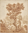 Knotty Old Tree in the Dunes with a Fence
