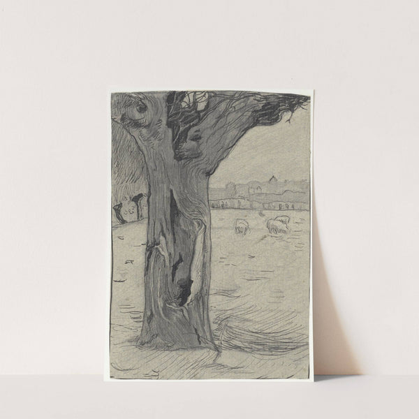 Knotwilg in een weidelandschap by Richard Nicolaüs Roland Holst