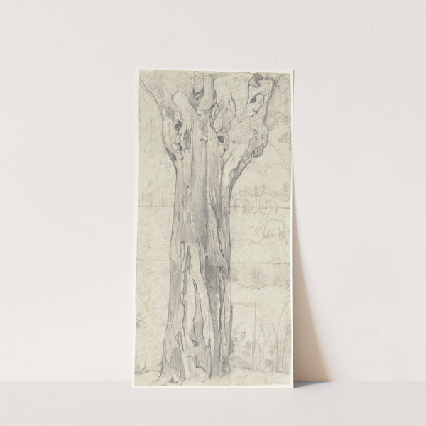 Knotwilg by Richard Nicolaüs Roland Holst