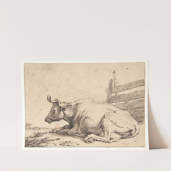 Ko liggende ved et hegn by Paulus Potter