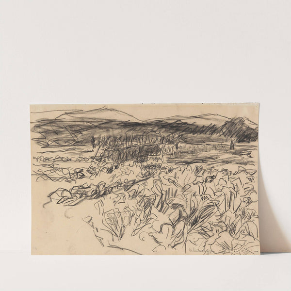 Kohlfeld (1912) by Max Liebermann