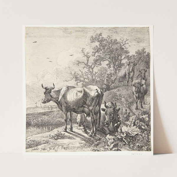 Kohyrden (1649) by Paulus Potter