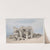 Kom Ombo. Nov. 21st, 1838 (1846-1849) by David Roberts
