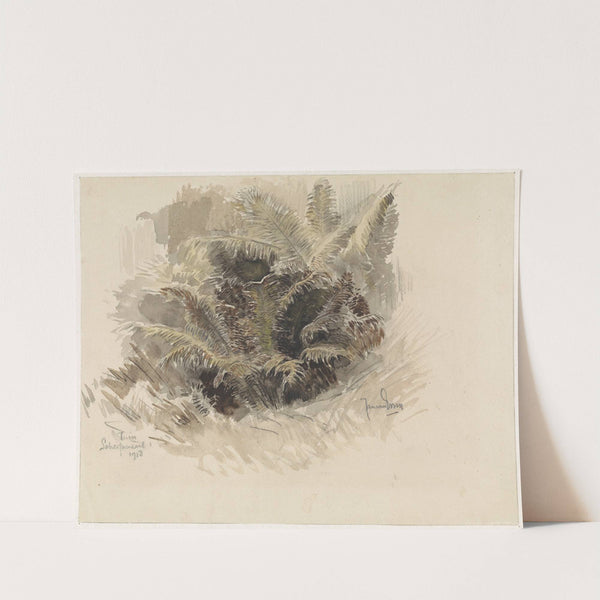 Koningsvaren in een tuin te Scherpenzeel by Jan van Essen