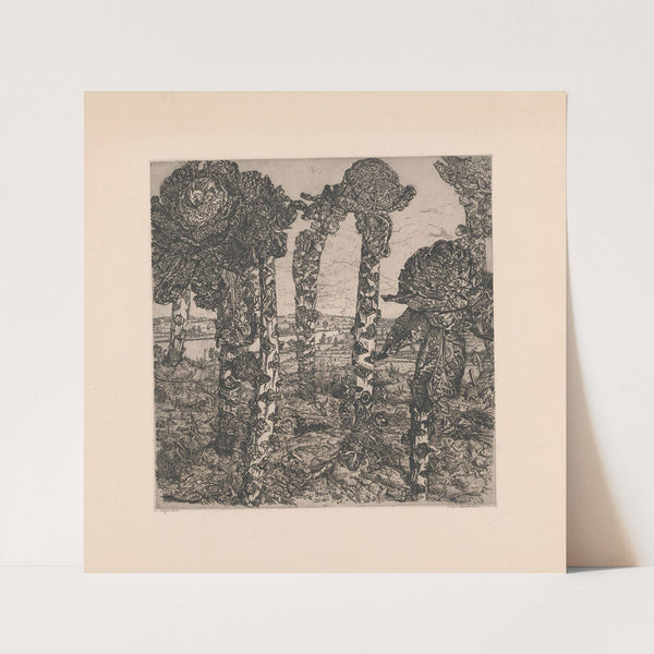 Anatomical image of an ectopic pregnancy (1672) by Hendrik Bary