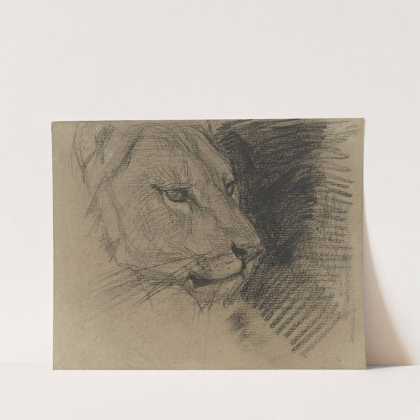 Kop van een leeuw by August Allebé