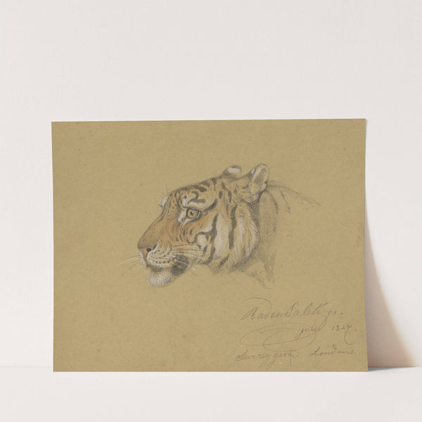 Kop van een Tijger by Raden Saleh