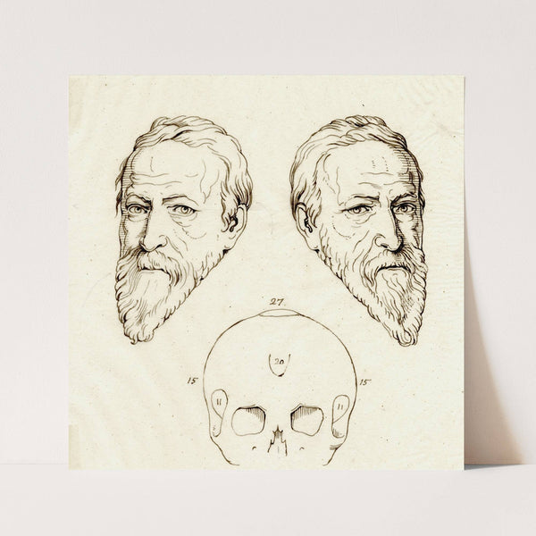 Kop van Oldenbarnevelt: beeld, spiegelbeeld en schedel by David Humbert de Superville