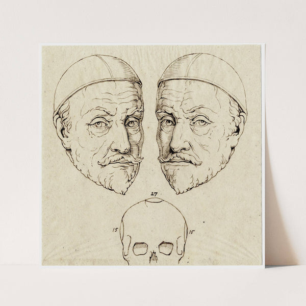 Kop van Willem van Oranje: beeld, spiegelbeeld, schedel by David Humbert de Superville