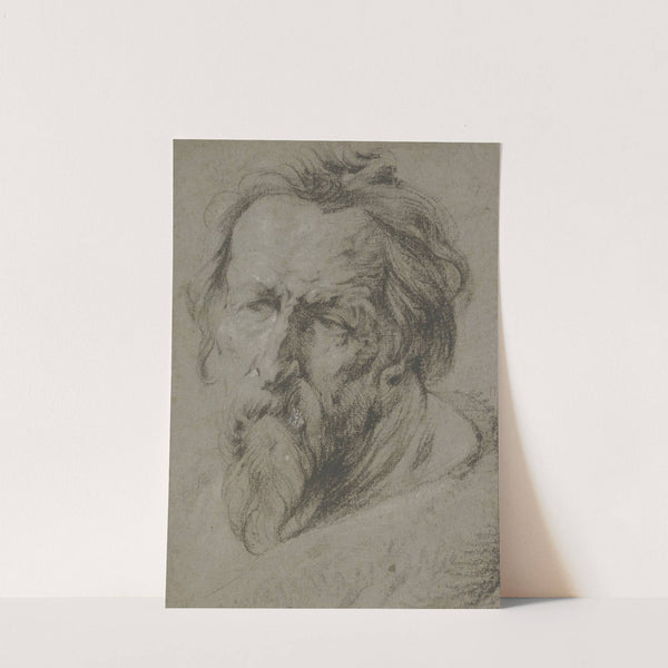 Kopf eines bärtigen Alten nach links by Anthony van Dyck