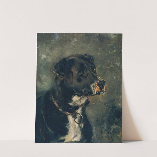 Kopf eines Fleischerhundes Hundekopf (1880-1882) by Anton Romako