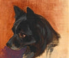 Kopf eines kleinen schwarzen Hundes