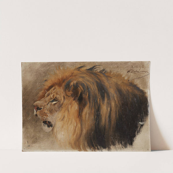 Kopf eines Löwen (1896) by Wilhelm Kuhnert