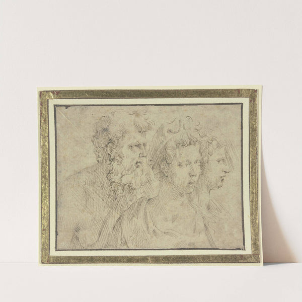 Köpfe eines bärtigen Mannes und zweier Frauen by Parmigianino