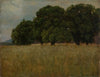 Kornfeld mit Laubbäumen