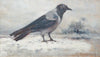 Krähe in winterlicher Landschaft