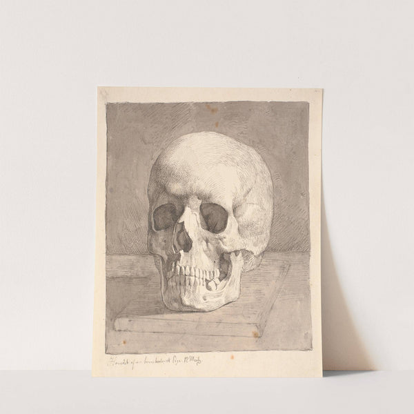 Kranium, set forfra by Johan Thomas Lundbye