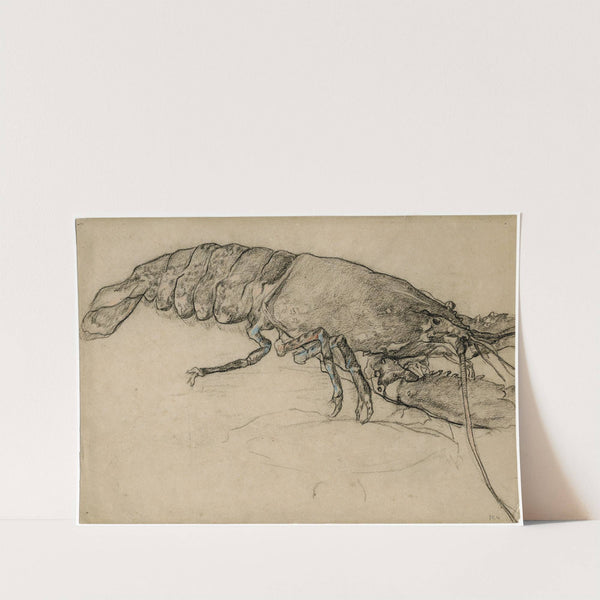 Kreeft by Theo van Hoytema