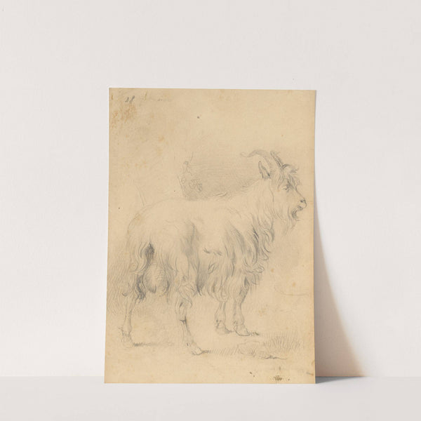 Kresba capa by František Belopotocký