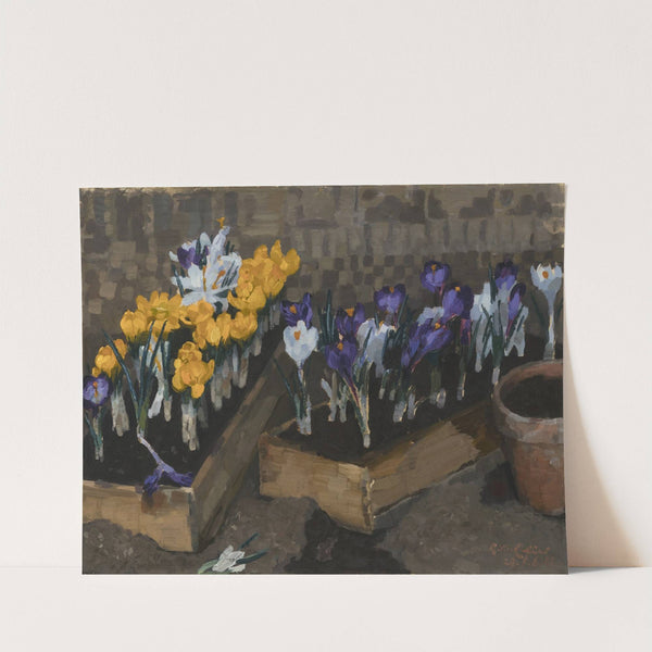 Krokusse by Reinhold Max Eichler