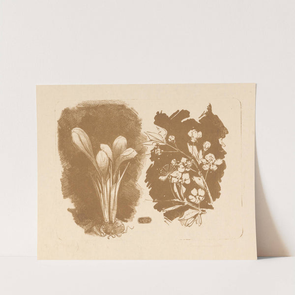 Krokussen en een tak met bloesem by Bernard Willem Wierink