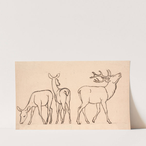 Kronhjorte og to hinde (1854 - 1858) by P. C. Skovgaard