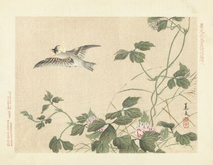 Kudzu and great tit (1892)