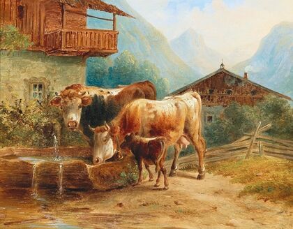 Kühe An Der Tränke