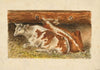 Kühe im Stall (1881)