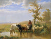 Kühe und Schafe