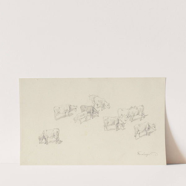 Kuhherde aus der Vogelperspektive by Fritz Bamberger