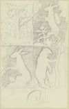 Kunstgewerbliche Entwürfe, in vier Feldern; Symmetrisches Gewächs, Esel mit Rucksack, Musizierender Esel und Bär mit Nasenring