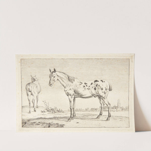 Kupperet hest by Paulus Potter