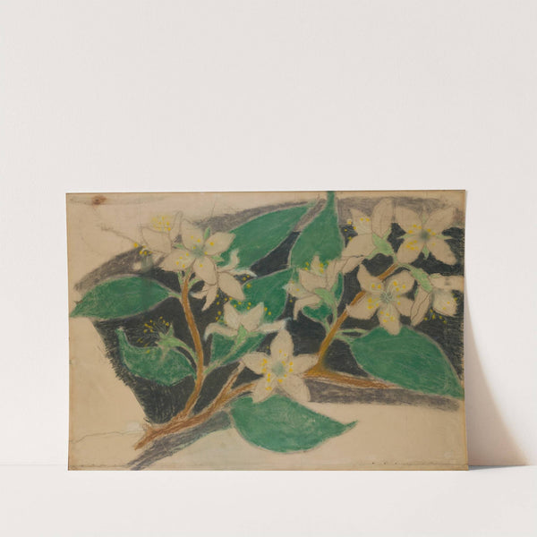 Kwiaty śliwy. Projekt do dekoracji malarskiej by Stanisław Wyspiański