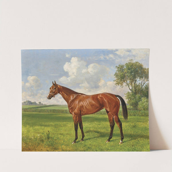 La Camargo, Poulinière à Jardy by Emil Adam