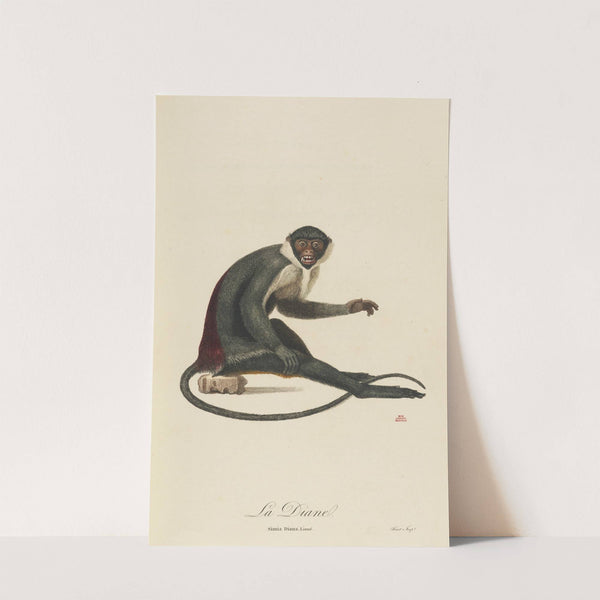 La Diane by Jean-Baptiste Audebert