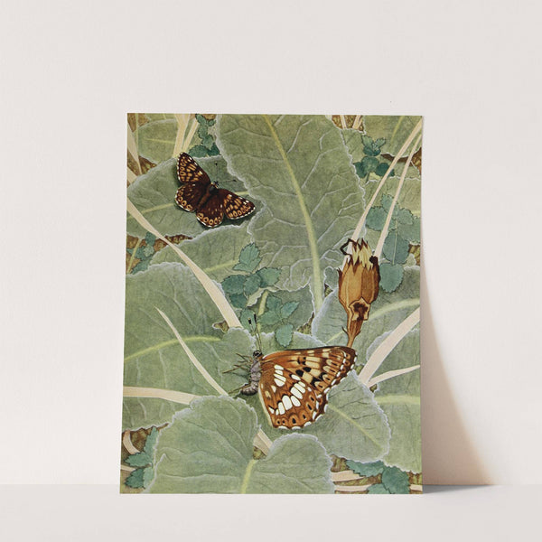 La Lucine (1934) by Paul-Andre Robert