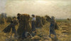 La récolte