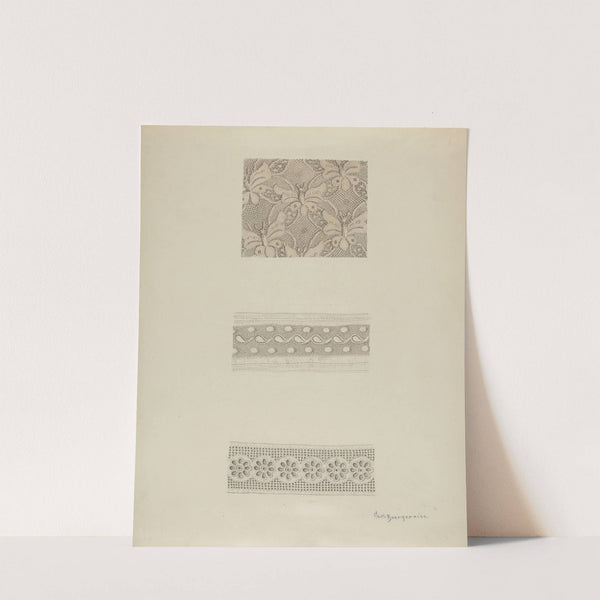 Lace by Carl Buergerniss