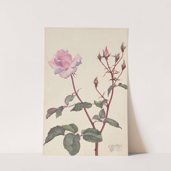 Lady Pirrie Rose by Eleanor Fortescue-Brickdale