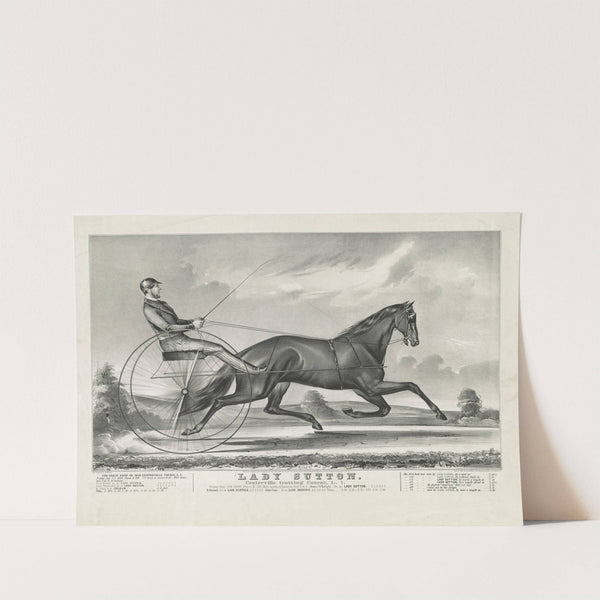 Lady Sutton. Centreville trotting course, L.I. (1849) by John Cameron