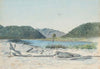 Lagoon, Grey River