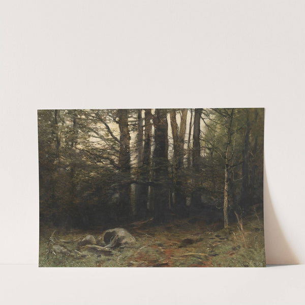 Lainzer Tiergarten (1900) by August Schaeffer von Wienwald