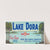 Lake Dora Brand Citrus Label (1930-1950)