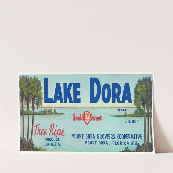Lake Dora Brand Citrus Label (1930-1950)