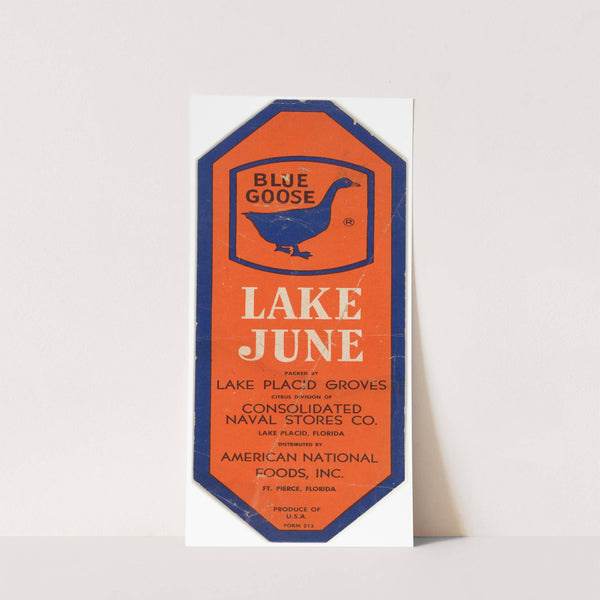 Lake June Citrus Label (1930-1950)