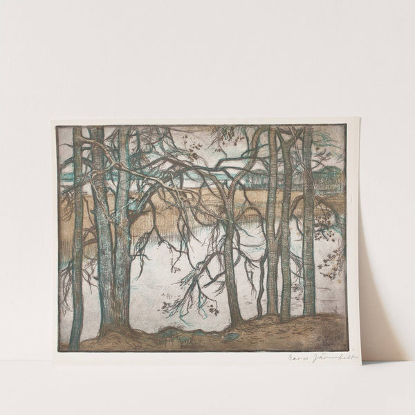 Lake Shore with Reeds by Eero Järnefelt