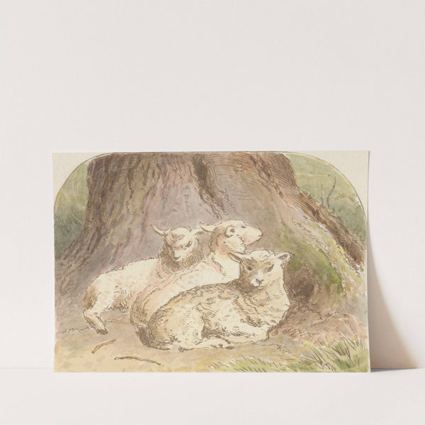 Lambing Time (tail piece) by Alfred W. Cooper